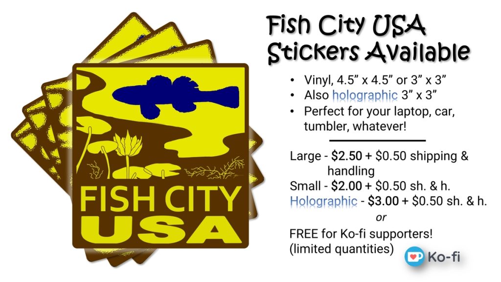 Fish City Ad image