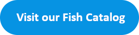 Visit Our Fish Catalog button image
